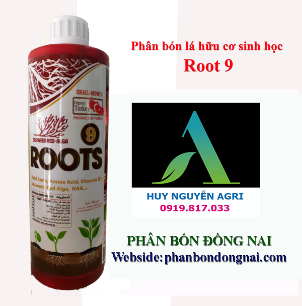 Root 9